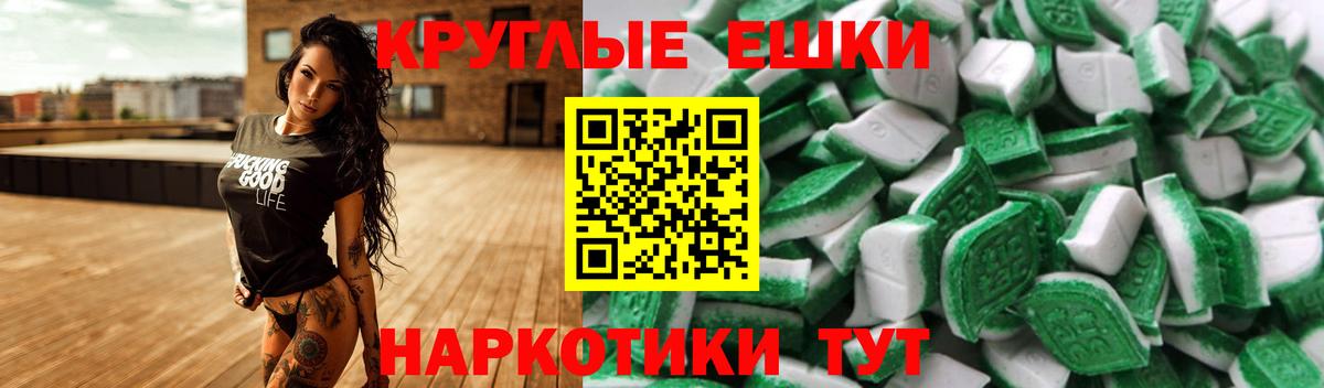 Курчатов  Экстази  Вход с VPN  ЭКСТАЗИ Philipp Plein 